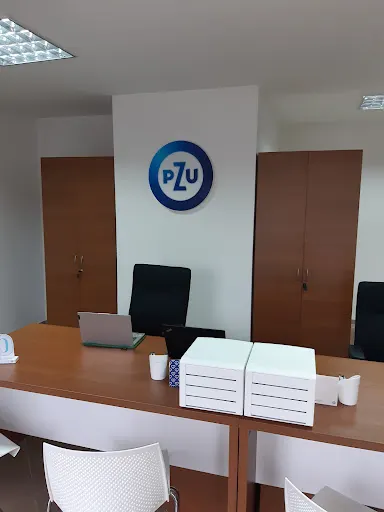 PZU Ubezpieczenia Inowrocław - Agent Angelika Wielgosz